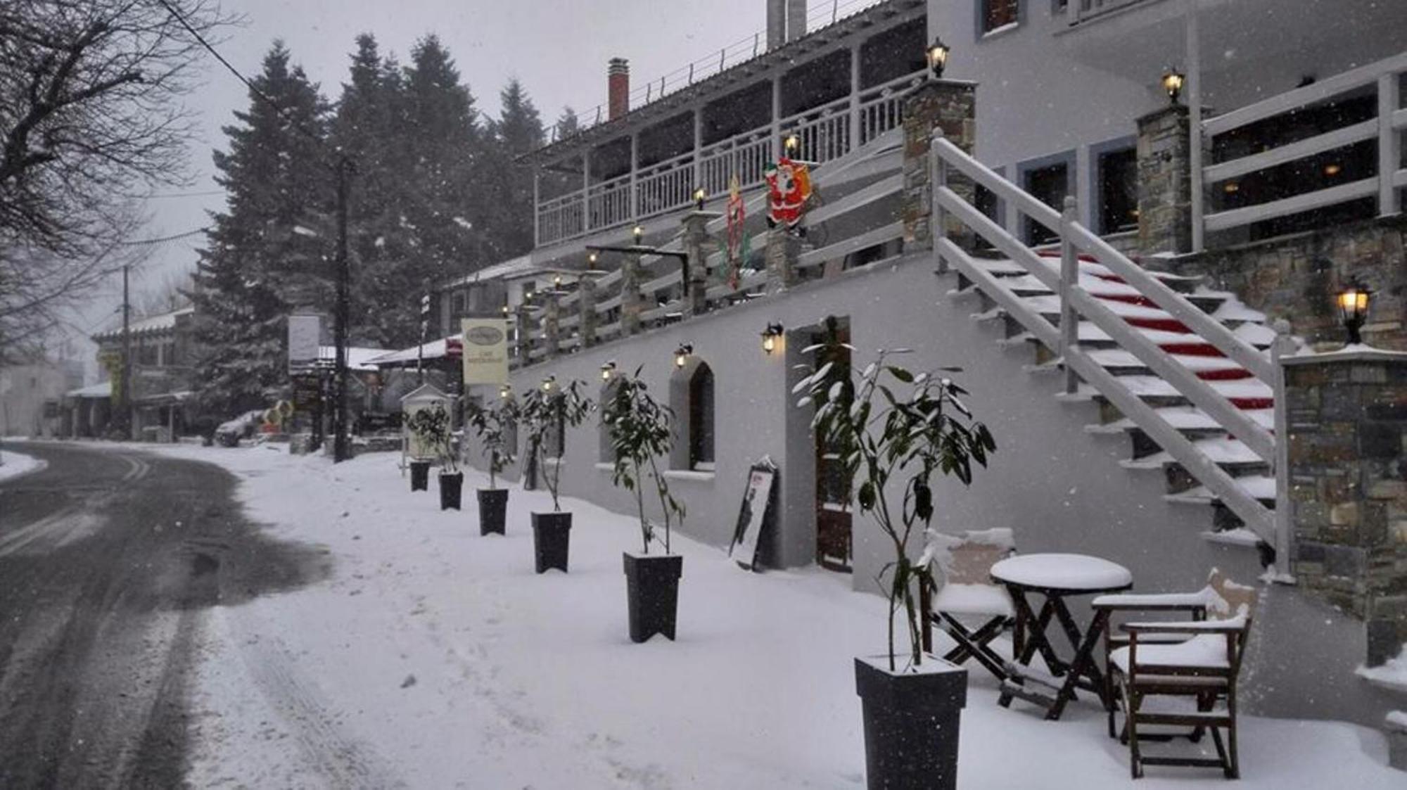 Anamar Pilio Resort Pelion Exteriör bild